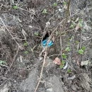 Deratyzacja terenu zewnętrznego wokół obiektu