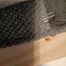 Zwalczanie pluskwy domowej