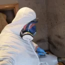 Dezynsekcja - pluska domowa