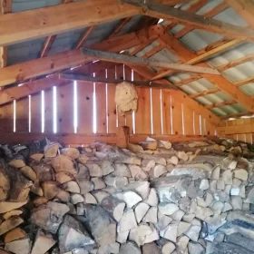 Usunięcie gniazda szerszeni