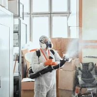 DDD Kowalski s.c. Urban Kowalski, Anita Łucjan-Kowalska