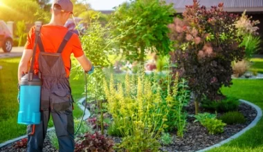 Gazowanie zboża  - jak pozbyć się szkodników zbożowych