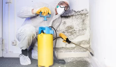 Dezynfekcja po zmarłym  - dlaczego warto wybrać profesjonalną pomoc