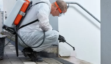 Awaria kanalizacji  - jak poradzić sobie po wybiciu nieczystości?