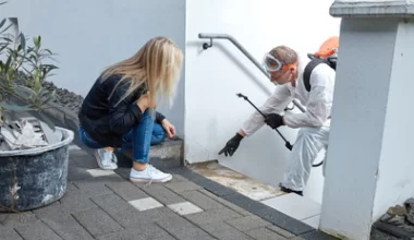 Pluskwy w domu  - co robić?