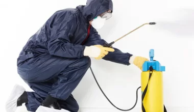 Dezynfekcja domu po chorobie  - najlepsze sposoby