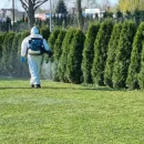 Realizacja dezynsekcji ogrodu