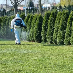 Realizacja dezynsekcji ogrodu