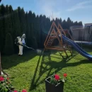 Zwalczanie szkodników w ogrodzie