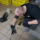 Przeprowadzona usługa dezynsekcji