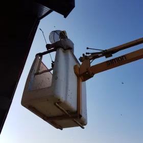 Zwalczanie gniazd os i szerszeni