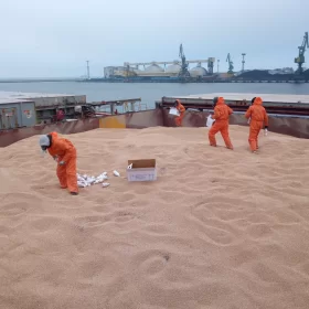 Dezynsekcja gazowa na statku