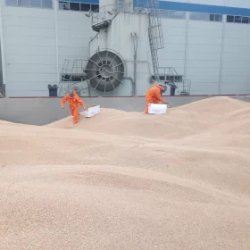 Fumigacja zboża na statku