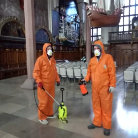 Realizacja usługi dezynsekcji